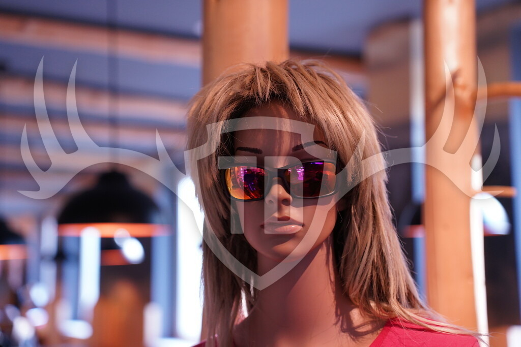 DSC04896 | Fotogalerie der Treibjagd im Dunkelwald - Dein MTB Etappenrennen im Erzgebirge - Realisiert mit Pictrs.com