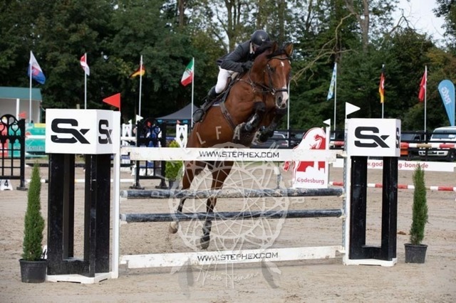 2B4A1189 | pixelfaenger - Realisiert mit Pictrs.com