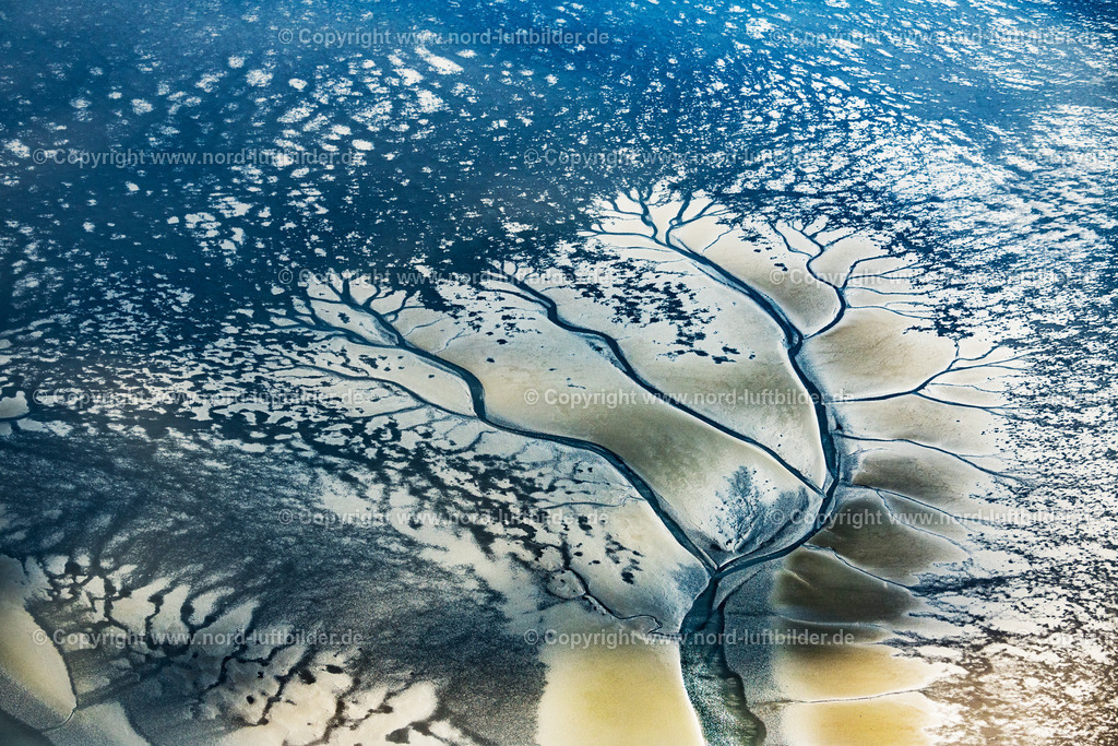 Wattenmeer_Wesermündung_ELS_1795140918 | WURSTER NORDSEEKüSTE 14.09.2018 Wattenmeer der Wurster Nordseeküste im Bundesland Niedersachsen, Deutschland. // Wadden Sea of North Sea Coast in Wurster Nordseekueste in the state Lower Saxony, Germany. Foto: Martin Elsen