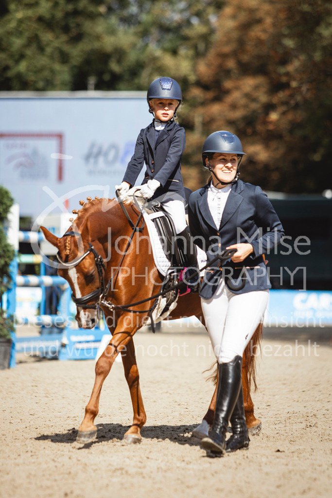 240915_OWLCh_FuehrzuegelWB-708 | Deine schönsten Turniermomente als professionelle Fotos! Entdecke hochwertige Pferdesport-Fotografie im Online-Shop. Jetzt Fotos finden & bestellen!