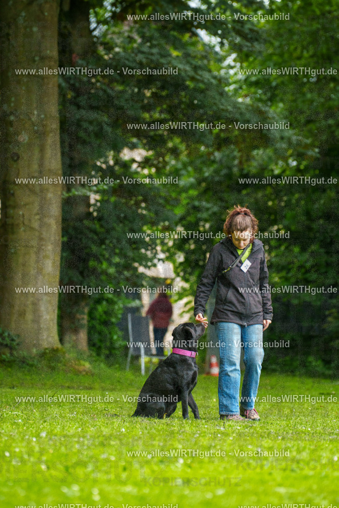 @allesWIRTHgut_Tierfotografie - www.allesWIRTHgut.de - 101438-7R508196 | Professionelle Tierfotografie in Mönchengladbach von Daniel Wirth (allesWIRTHgut). Liebevolle & natürliche Bilder von Hunden & Katzen für unvergessliche Erinnerungen.