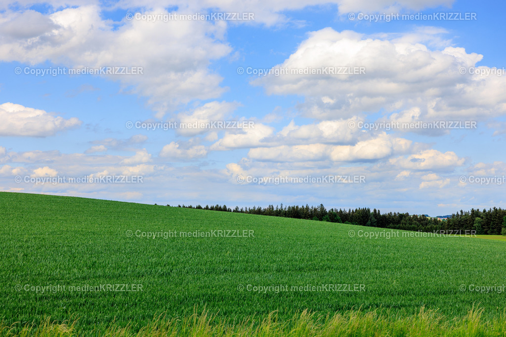 _J3A7896 | medienkrizzler - Realisiert mit Pictrs.com