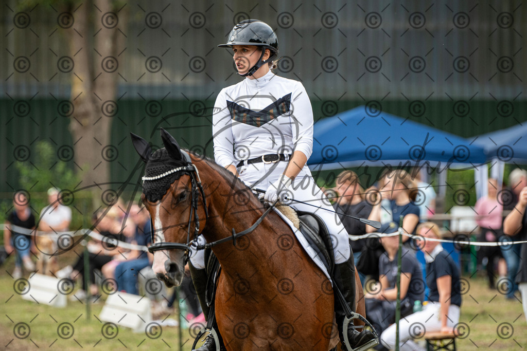 SHT_7614 | andre_photographic