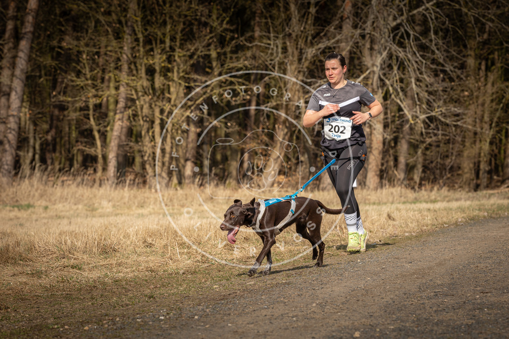 DV3A5890 | Hundefotografie, Tierfotograf, Pfotenfotografie, Fotoshooting Hund, Hunde Portrait, Hundesport, Hundeportraits, Heideshooting, Hunde, Sportfotograf, Hundefotograf, Turnierhundsport, THS,  - Realisiert mit Pictrs.com