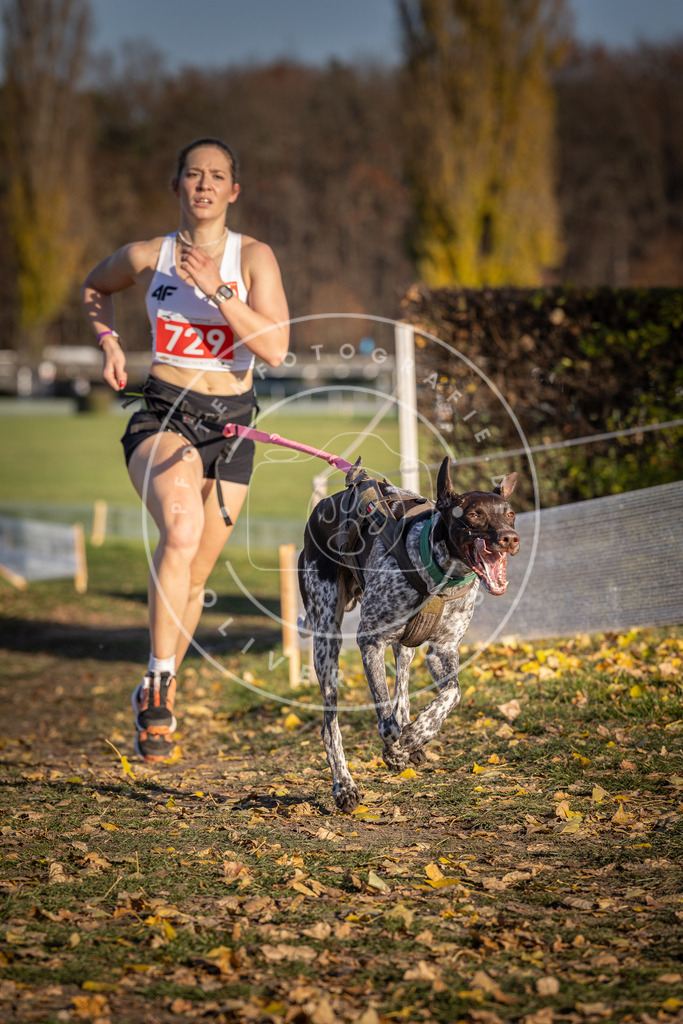 CaniXpix_DV3A2011 | Hundefotografie, Tierfotograf, Pfotenfotografie, Fotoshooting Hund, Hunde Portrait, Hundesport, Hundeportraits, Heideshooting, Hunde, Sportfotograf, Hundefotograf, Turnierhundsport, THS,  - Realisiert mit Pictrs.com