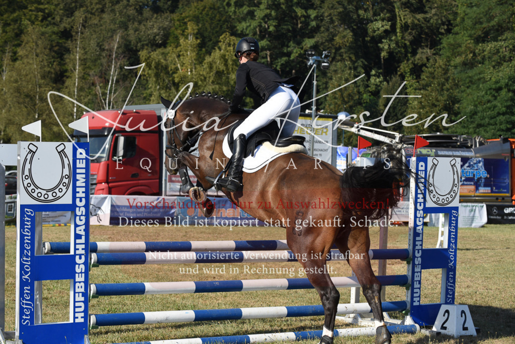 DSC_5140 | Pferde- und Turnierfotografie in Westsachsen. Pferdeportraits, Auftragszeichnungen und intuitive Kunst.