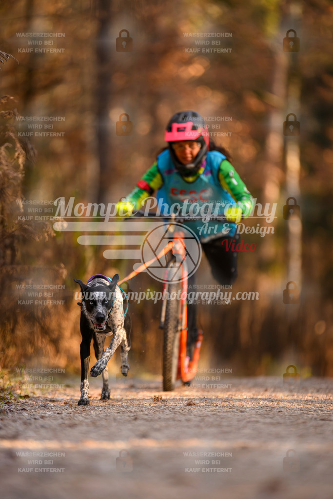 MompixPhotography_DM_AKDM_SO_2025_Scooter-203 | PayLife