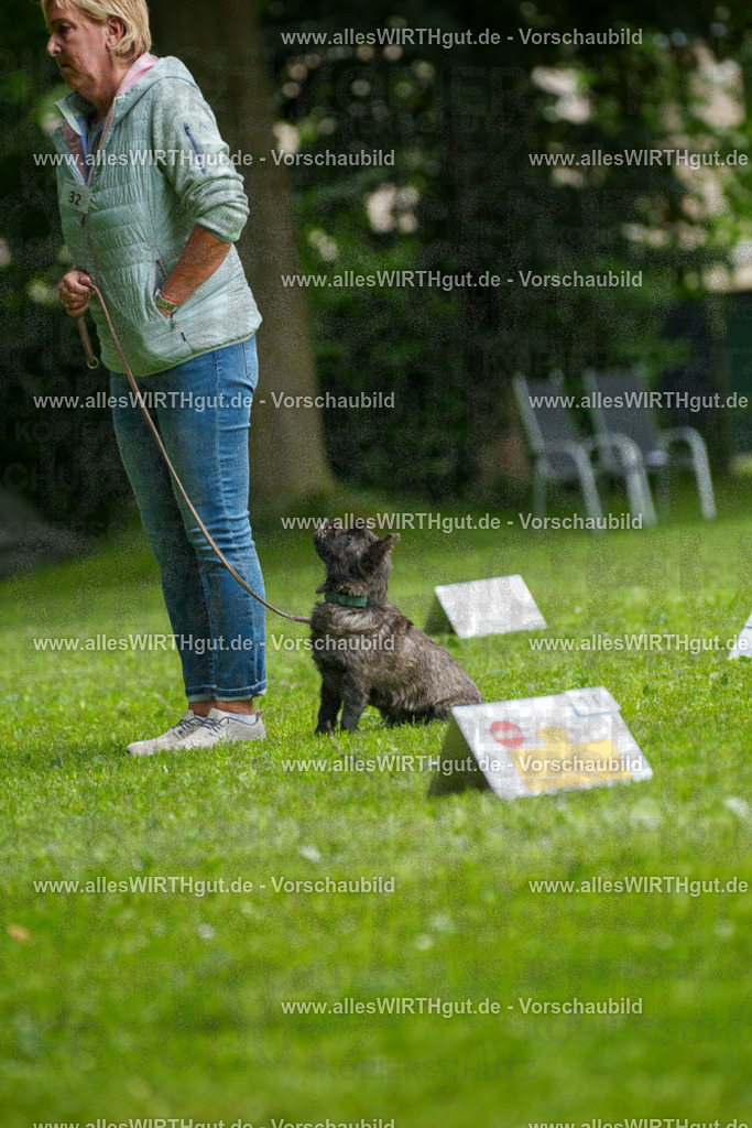 @allesWIRTHgut_Tierfotografie - www.allesWIRTHgut.de - 7R504467 | Professionelle Tierfotografie in Mönchengladbach von Daniel Wirth (allesWIRTHgut). Liebevolle & natürliche Bilder von Hunden & Katzen für unvergessliche Erinnerungen.