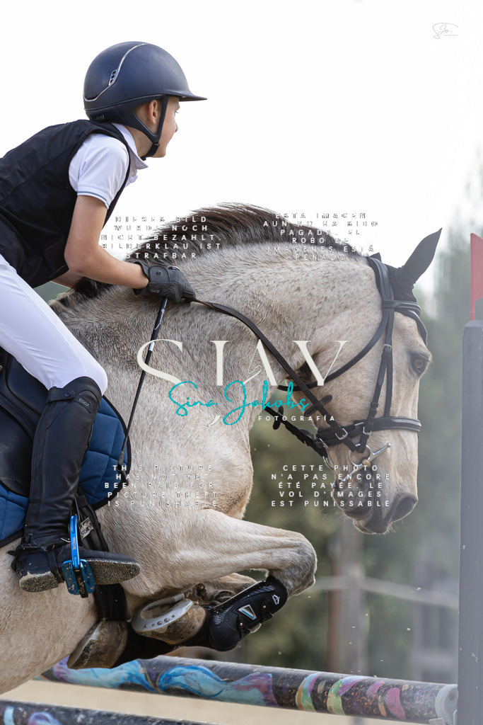 IMG_6195 | s-jay-photography - Realisiert mit Pictrs.com