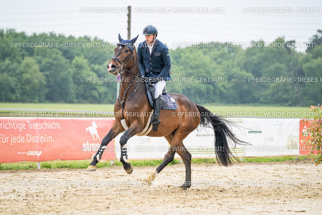 DSC00766 | Pferdegrafie