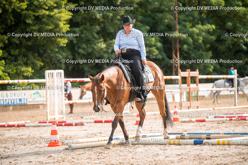 ZS3_9176 | dv-media-shop - Realisiert mit Pictrs.com