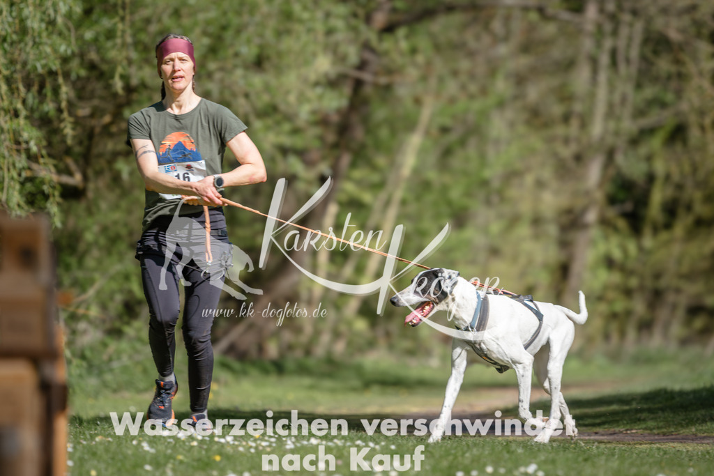 1031DZ6_3990 | kk-dogfotos