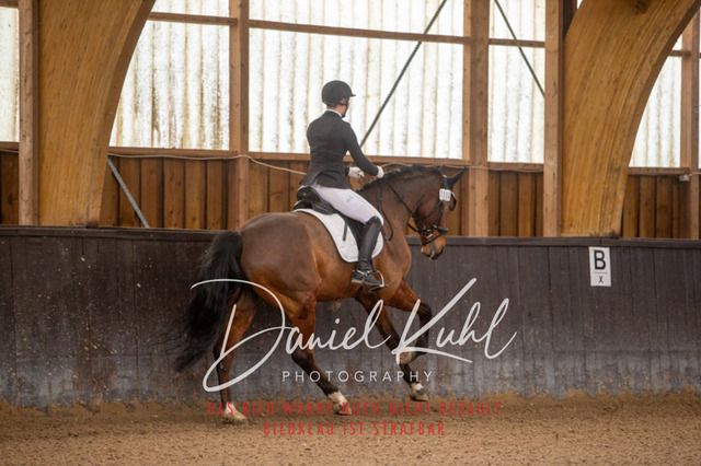 IMG_0011 | Deine Turnierfotos vom Reitturnier online kaufen: Dressur, Springen & Siegerehrung. Professionelle Pferdefotografie aus dem Rheinland – als Download & Print.Alternative: Turnierfotograf für den Pferdesport: Finde deine Fotos von Dressur- und Springturnier