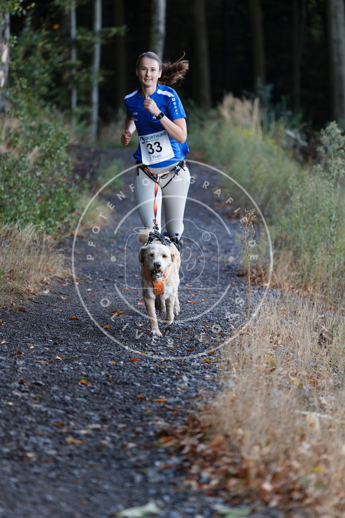 0L8A1584 | Hundefotografie, Tierfotograf, Pfotenfotografie, Fotoshooting Hund, Hunde Portrait, Hundesport, Hundeportraits, Heideshooting, Hunde, Sportfotograf, Hundefotograf, Turnierhundsport, THS,  - Realisiert mit Pictrs.com