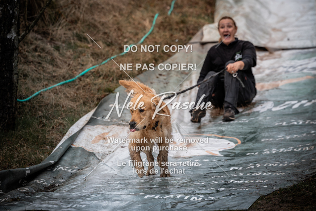 nelerasche_1330-1400_132 | nelerasche