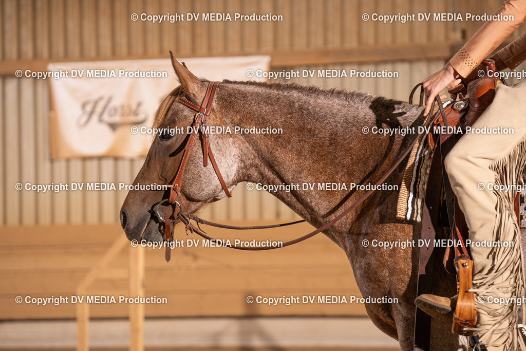 NID00818 | dv-media-shop - Realisiert mit Pictrs.com