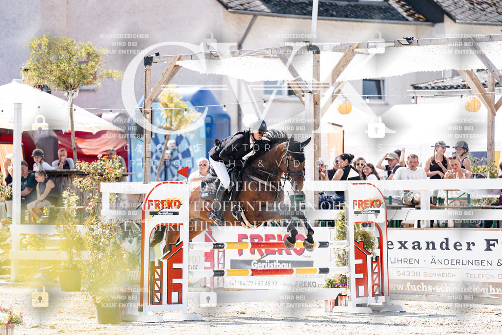 CK909036 | Turnierfotografie Pferdefotografie Trier Rheinland-Pfalz Pferdesport Reitsport Tierfotografie Sportfotografie Pferdevideo Pferdevideografie Equestrianvideography equestrianphotography  - Realisiert mit Pictrs.com