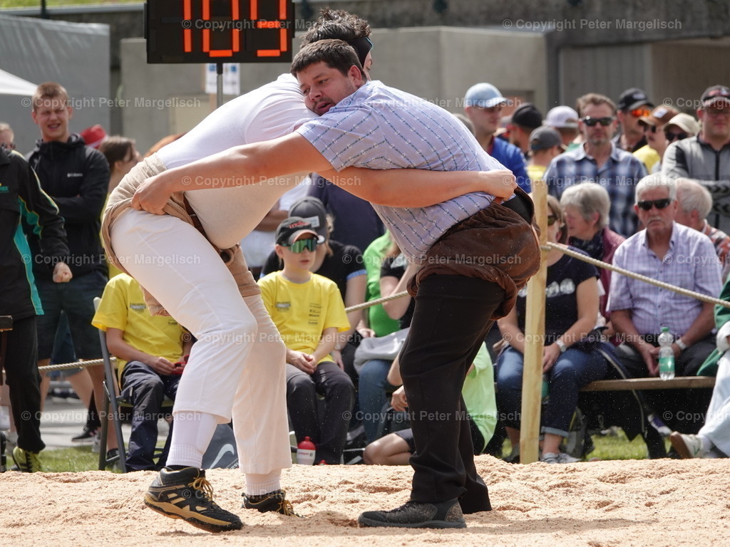 DSC07414 | Schwingen - Realisiert mit Pictrs.com