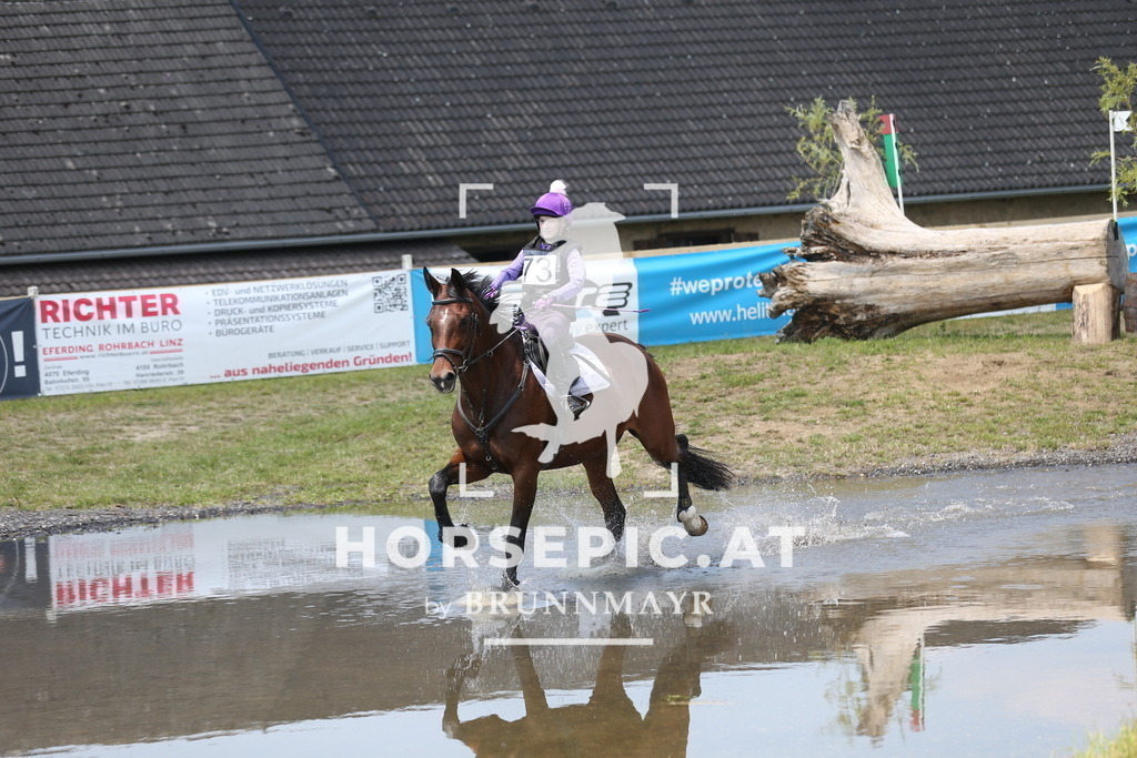 DL2Q2253 | Willkommen bei Brunnmayr - Design & Fotografie – Ihrem Spezialisten für Reitturniere und Pferdeveranstaltungen in Oberösterreich, Salzburg und Bayern! Seit über 17 Jahren sind wir leidenschaftlich dabei.