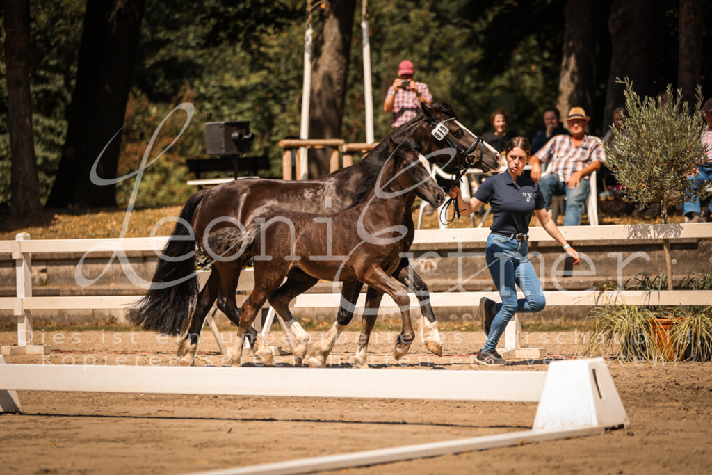 04.DoWP00082 | Leoni Ertmer Photography - Realisiert mit Pictrs.com