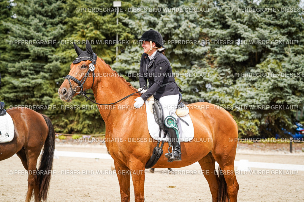 DSC04567 | Pferdegrafie