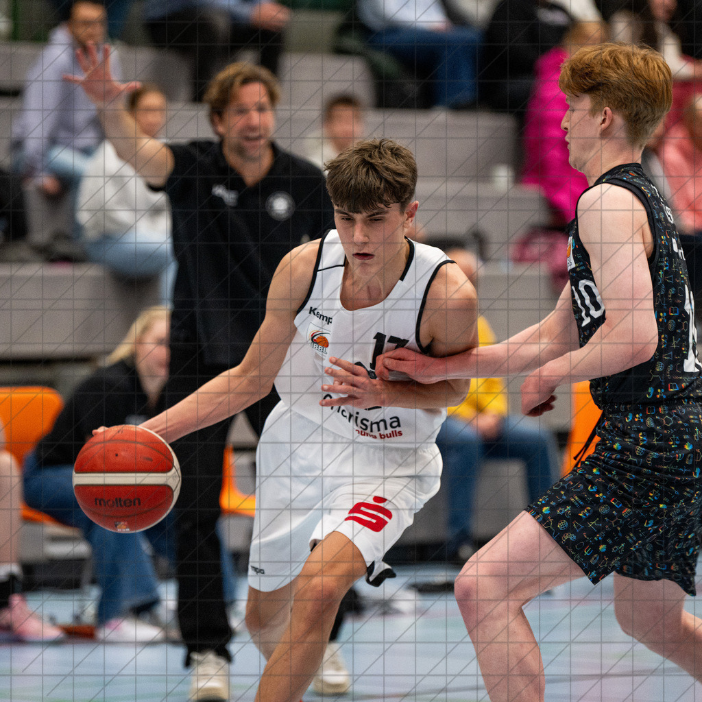 JBBL 24/25 | 23.11.2024 | Charisma Young Bulls vs. UBC Münster  | JBBL 24/25 | 23.11.2024 | Charisma Young Bulls vs. UBC Münster - - - - - CREDIT, www.bullenfotos.de, Martin König, Hörner Weg 40, D-49078 Osnabrück, +4917663732967, Nutzung und Weitergabe nur zu den vereinbarten Zwecken. Presseanfragen an Urheber. Alle Rechte beim Urheber. - - - - - - Realisiert mit Pictrs.com