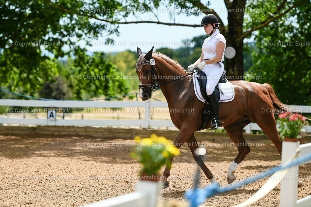 20230715_05_Dressurprüfung Kl.A++_0023 | equistock