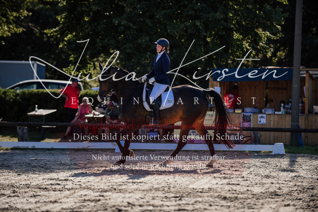 DSC_0649 | Pferde- und Turnierfotografie in Westsachsen. Pferdeportraits, Auftragszeichnungen und intuitive Kunst.