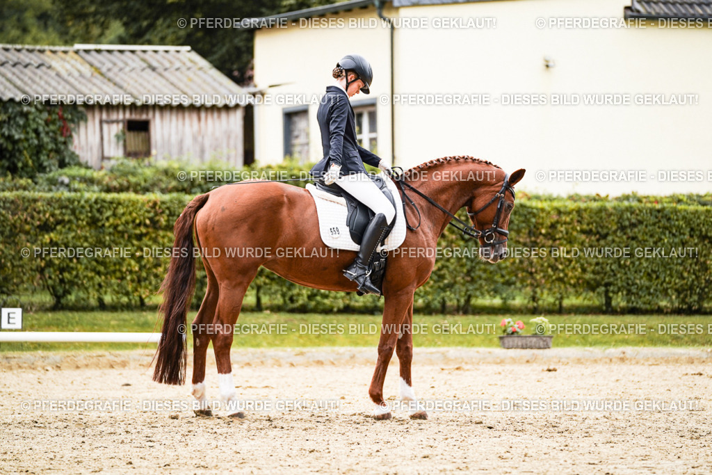 DSC07536 | Pferdegrafie