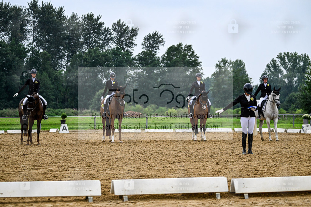 Reitturnier Hasbergen | Entdecke hochwertige Reitturnierfotos von Foto Oger. Professionell, emotional und authentisch – jetzt Lieblingsmomente im Shop bestellen. - Realisiert mit Pictrs.com