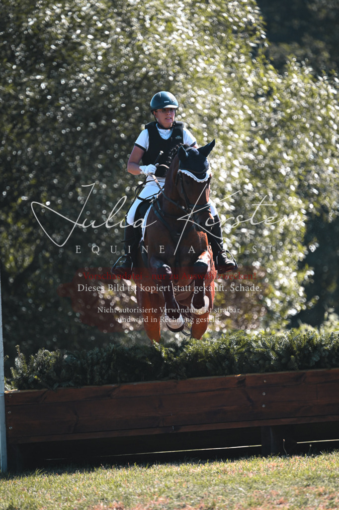 DSC_8152 | Pferde- und Turnierfotografie in Westsachsen. Pferdeportraits, Auftragszeichnungen und intuitive Kunst.