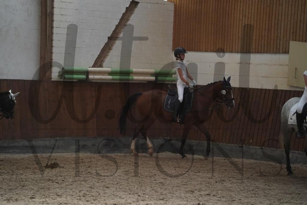 beckingen (2110) | d.tail Visions - Shop - Realisiert mit Pictrs.com