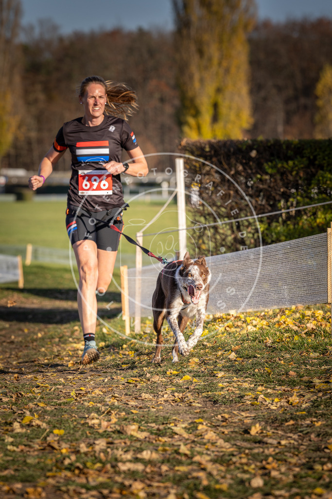 CaniXpix_DV3A1418 | Hundefotografie, Tierfotograf, Pfotenfotografie, Fotoshooting Hund, Hunde Portrait, Hundesport, Hundeportraits, Heideshooting, Hunde, Sportfotograf, Hundefotograf, Turnierhundsport, THS,  - Realisiert mit Pictrs.com