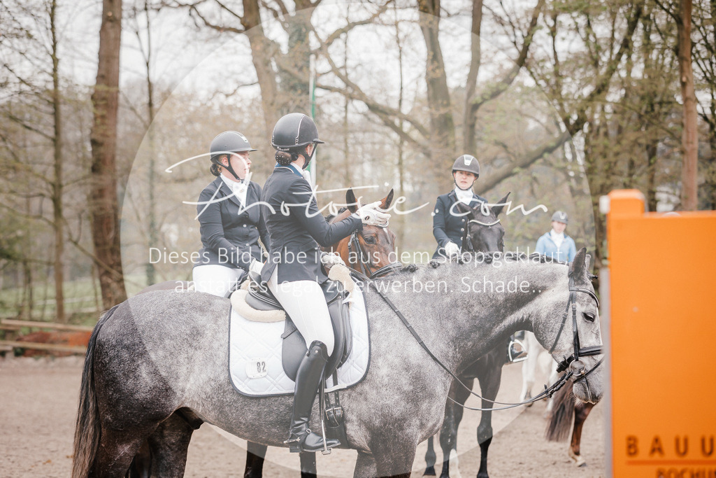 3I6A7045 | Stimmungsvolle Portraits und Reitsportfotografie im Ruhrgebiet und im Münsterland.

Pferdefotografie, Hundefotografie, Tierfotografie, Reportagen, Portraits von Tier und Mensch, Turnierfotografie in Bochum, Recklinghausen, Marl, Haltern am See, Dülmen.. - Realisiert mit Pictrs.com