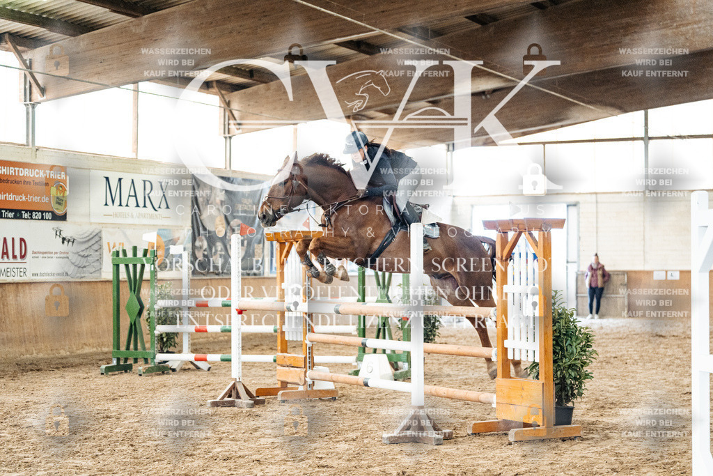 CK906175 | Turnierfotografie Pferdefotografie Trier Rheinland-Pfalz Pferdesport Reitsport Tierfotografie Sportfotografie Pferdevideo Pferdevideografie Equestrianvideography equestrianphotography  - Realized with Pictrs.com