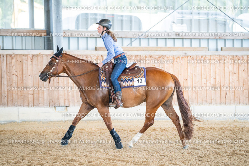 DSC03590 | Pferdegrafie