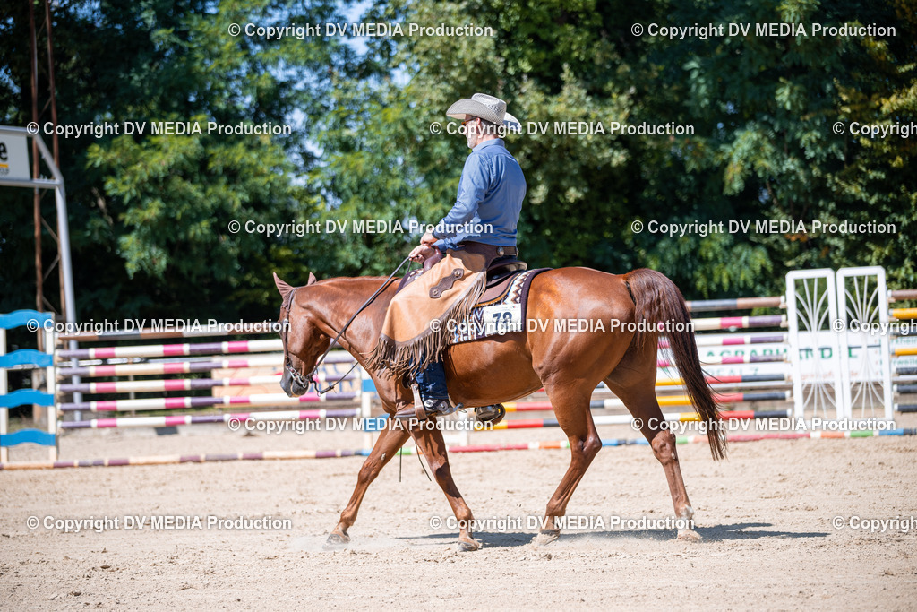 ZS1_1331 | dv-media-shop - Realisiert mit Pictrs.com