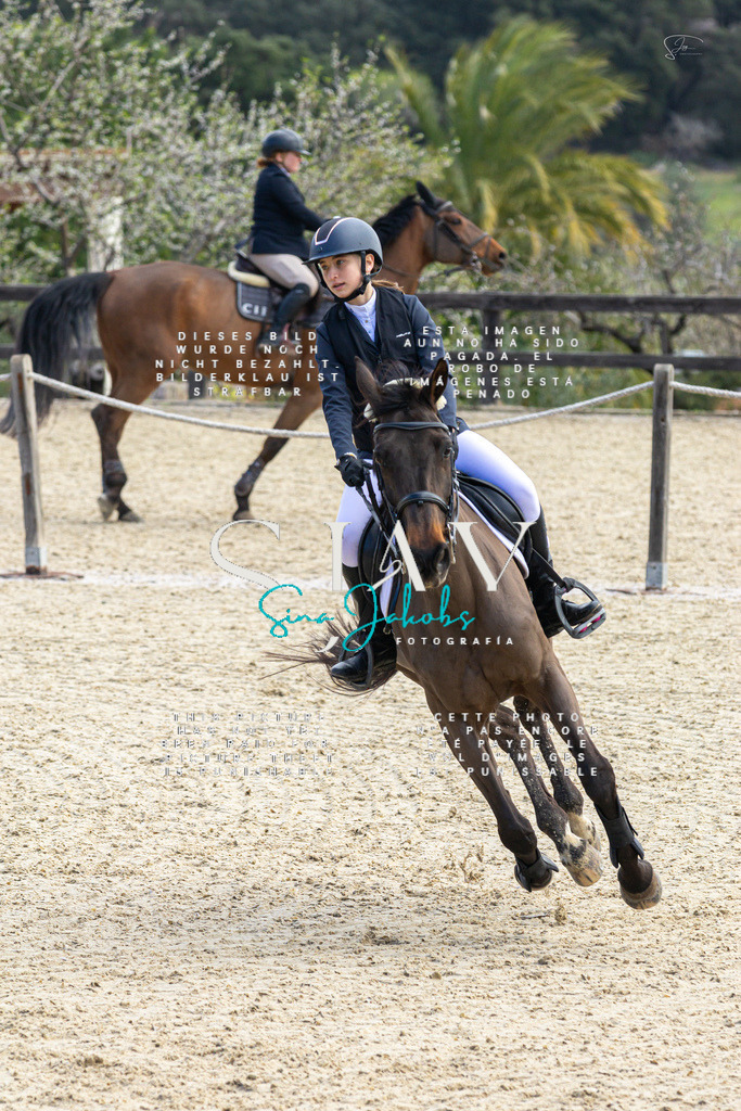 IMG_4960 | s-jay-photography - Realisiert mit Pictrs.com