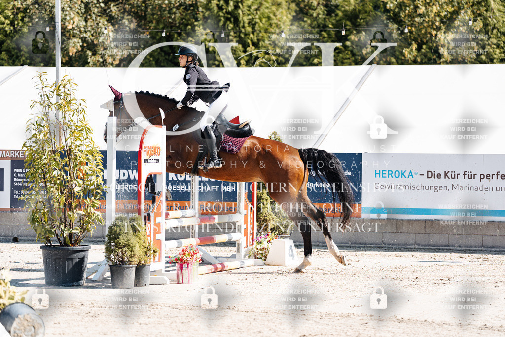 CK905051 | Turnierfotografie Pferdefotografie Trier Rheinland-Pfalz Pferdesport Reitsport Tierfotografie Sportfotografie Pferdevideo Pferdevideografie Equestrianvideography equestrianphotography  - Realisiert mit Pictrs.com