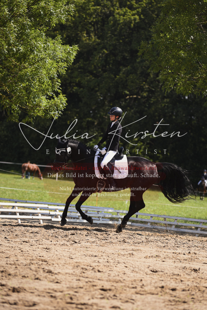 DSC_0659 | Pferde- und Turnierfotografie in Westsachsen. Pferdeportraits, Auftragszeichnungen und intuitive Kunst.