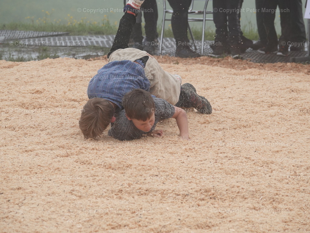 DSC07820 | Schwingen - Realisiert mit Pictrs.com