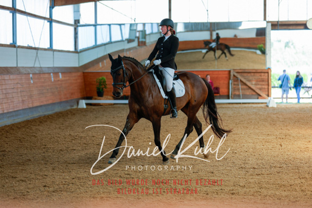 _62_4853 | Turniersportfotografie; Pferdefotografie; Dressurfotografie