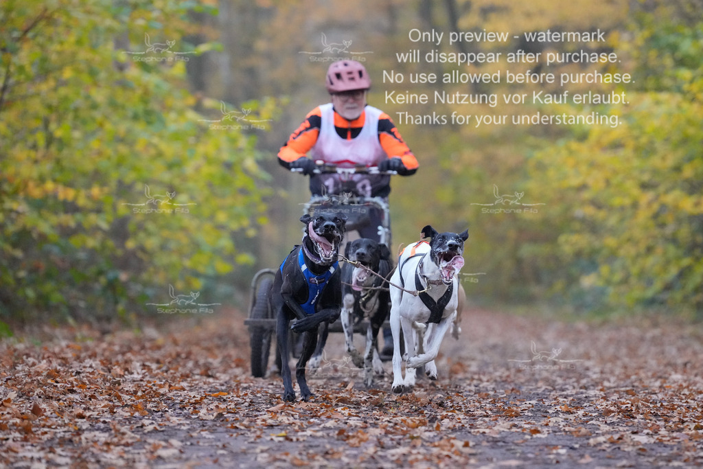 Rigs4bis8So-23 | stephaniefillaphotographie - Realisiert mit Pictrs.com