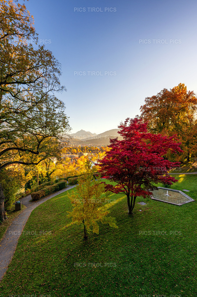 DSC_3324-Bearbeitet | Tirolpics