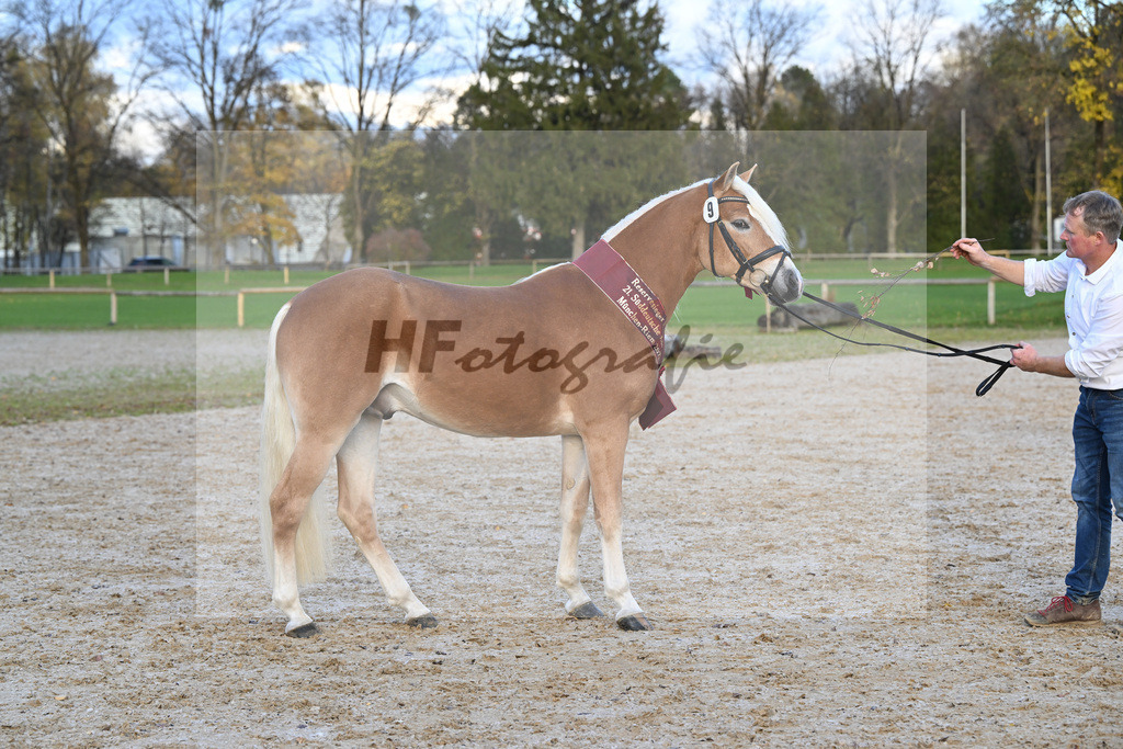 Kat-Nr. 9 Wilson P v. Wegas_Bleicher_60221817 | hf-fotografie - Realisiert mit Pictrs.com