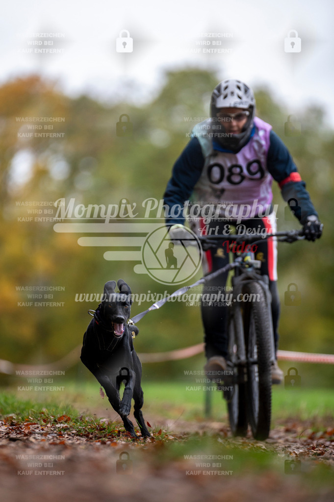 DBT_DAKM_SA_4_11_2023_Bike-70 | PayLife