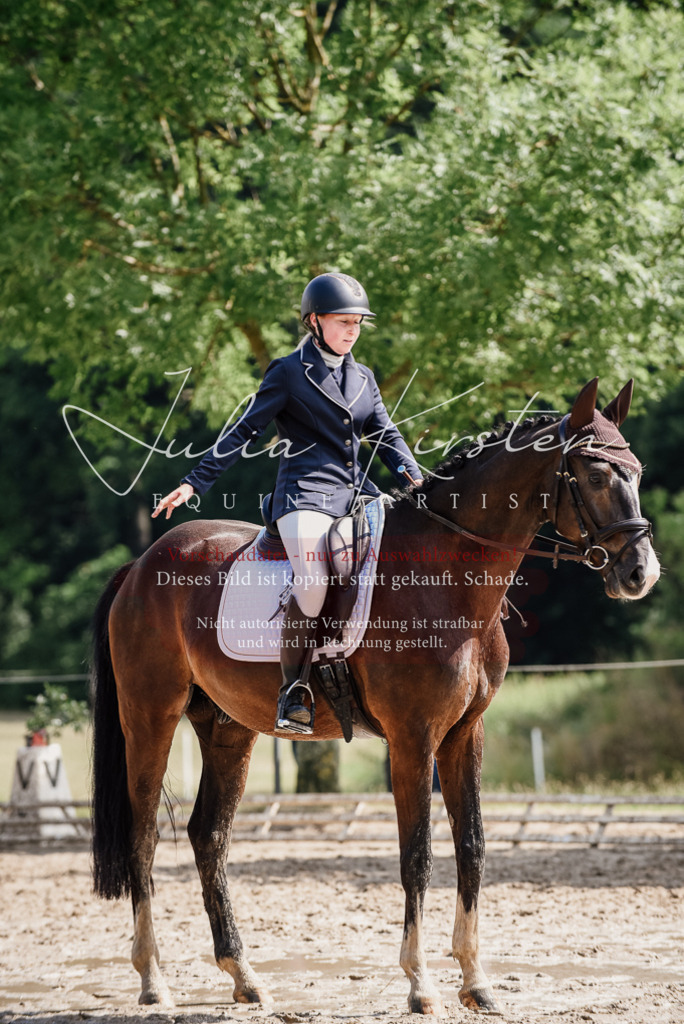 DSC_0133 | Pferde- und Turnierfotografie in Westsachsen. Pferdeportraits, Auftragszeichnungen und intuitive Kunst.