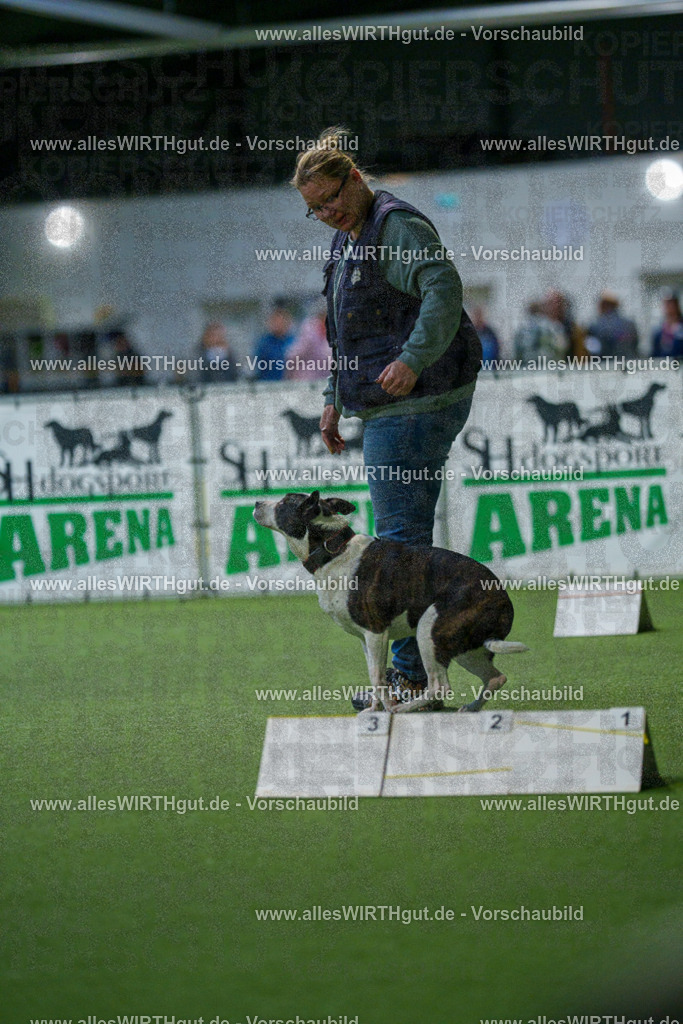7R509790 | Professionelle Tierfotografie in Mönchengladbach von Daniel Wirth (allesWIRTHgut). Liebevolle & natürliche Bilder von Hunden & Katzen für unvergessliche Erinnerungen.