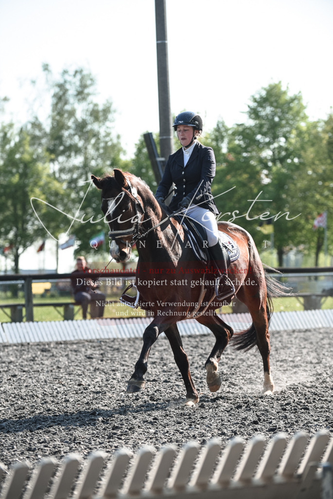 DSC_8288 | Pferde- und Turnierfotografie in Westsachsen. Pferdeportraits, Auftragszeichnungen und intuitive Kunst.