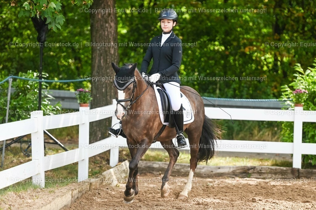 20230716_10-1_Reiter-WB Schritt - Trab - Galopp_0177 | equistock
